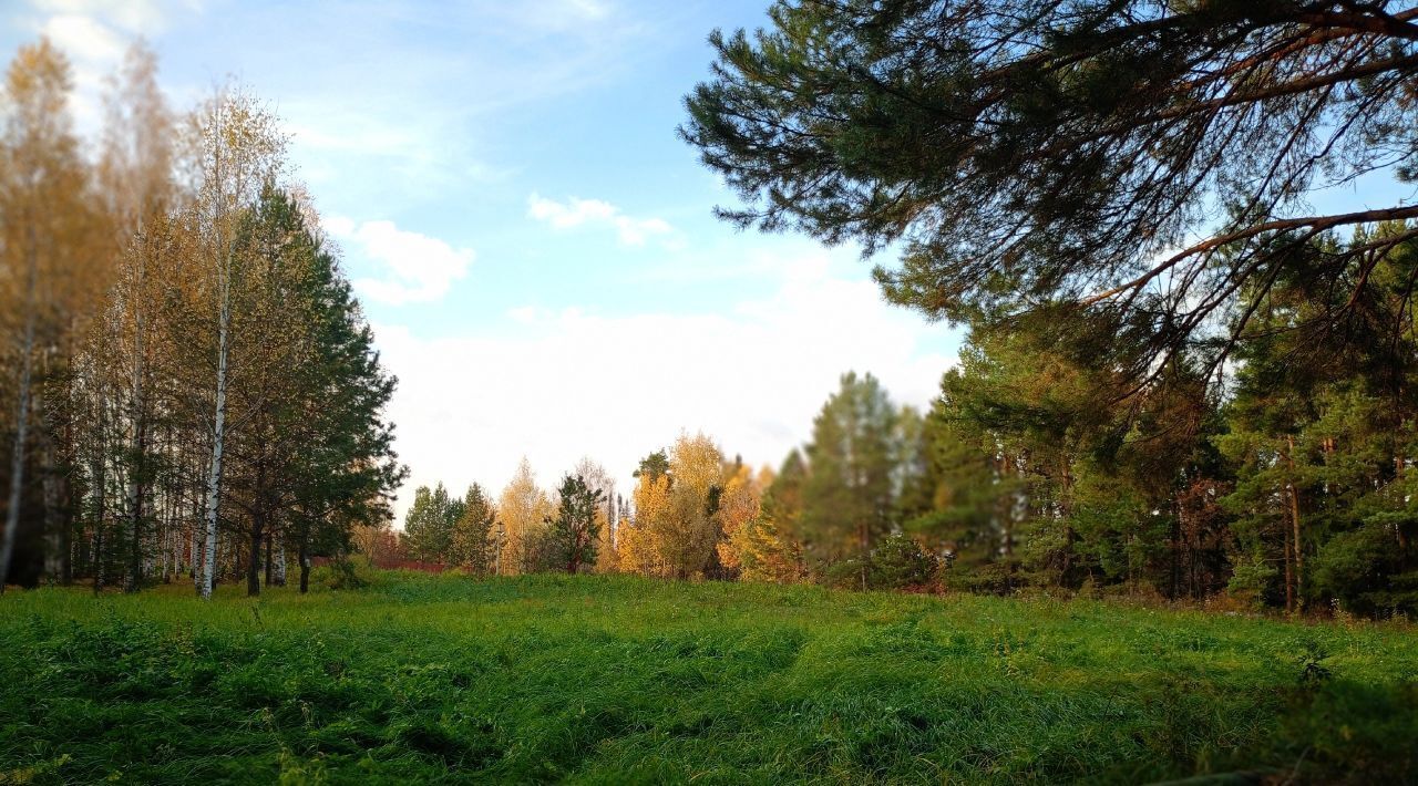 земля р-н Завьяловский д Поваренки ул Сосновая 3 фото 13