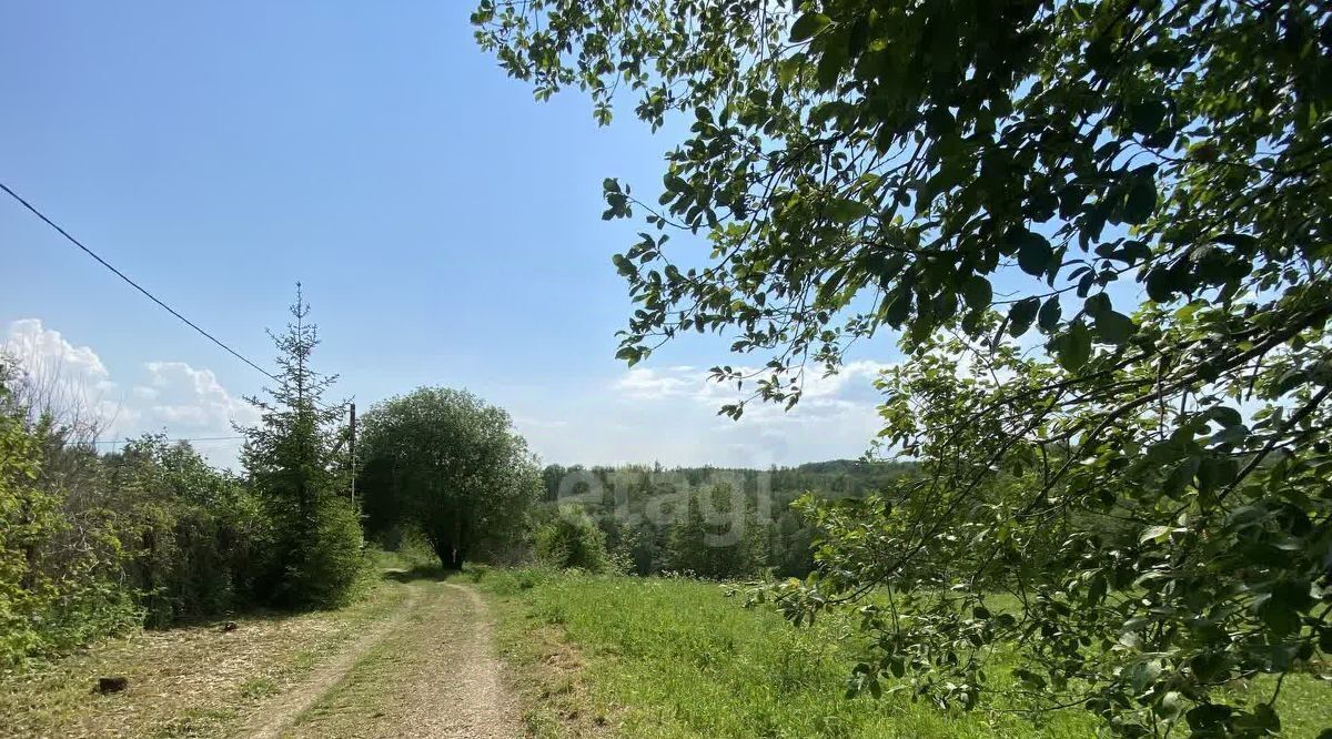 земля городской округ Дмитровский Пыхино СНТ фото 22