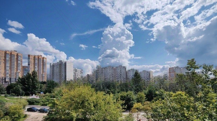 квартира г Москва метро Братиславская ул Верхние Поля 22к/1 фото 16