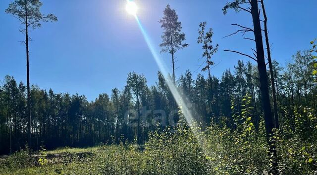 снт Пороги ул 1-я Лесная Свердловское городское поселение фото