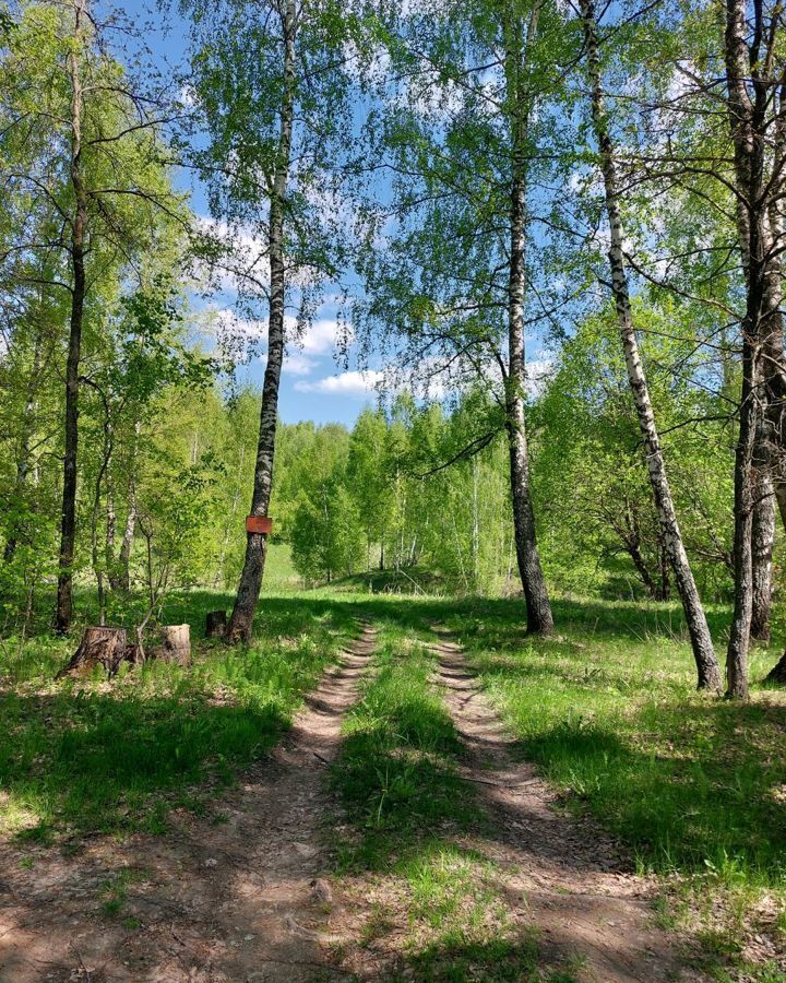 земля р-н Мценский д Поветкино Аникановское сельское поселение, Мценск фото 18