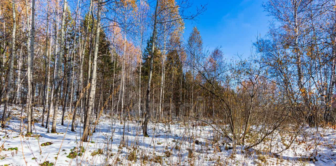 земля р-н Тюменский с Перевалово ул Сиреневая фото 4