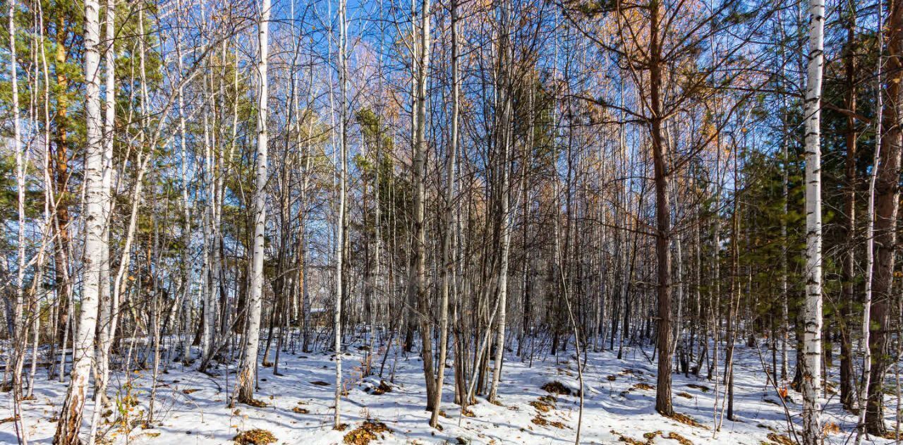 земля р-н Тюменский с Перевалово ул Сиреневая фото 6