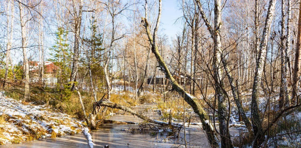 земля р-н Тюменский с Перевалово ул Сиреневая фото 20