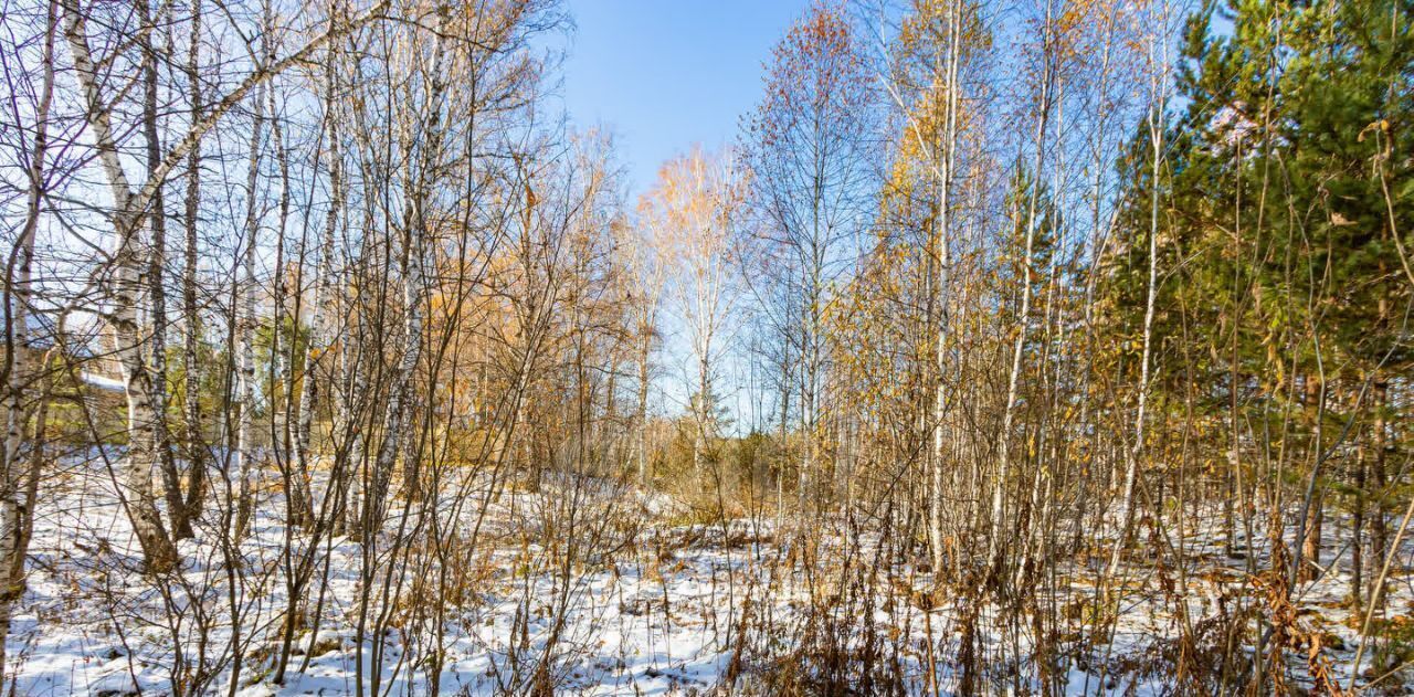 земля р-н Тюменский с Перевалово ул Сиреневая фото 7