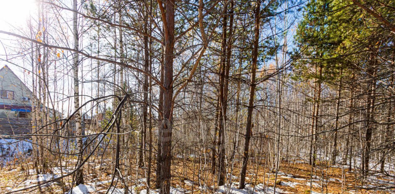 земля р-н Тюменский с Перевалово ул Сиреневая фото 9