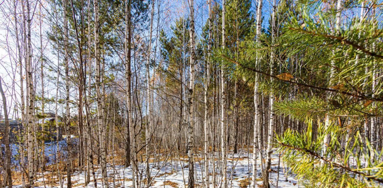 земля р-н Тюменский с Перевалово ул Сиреневая фото 11