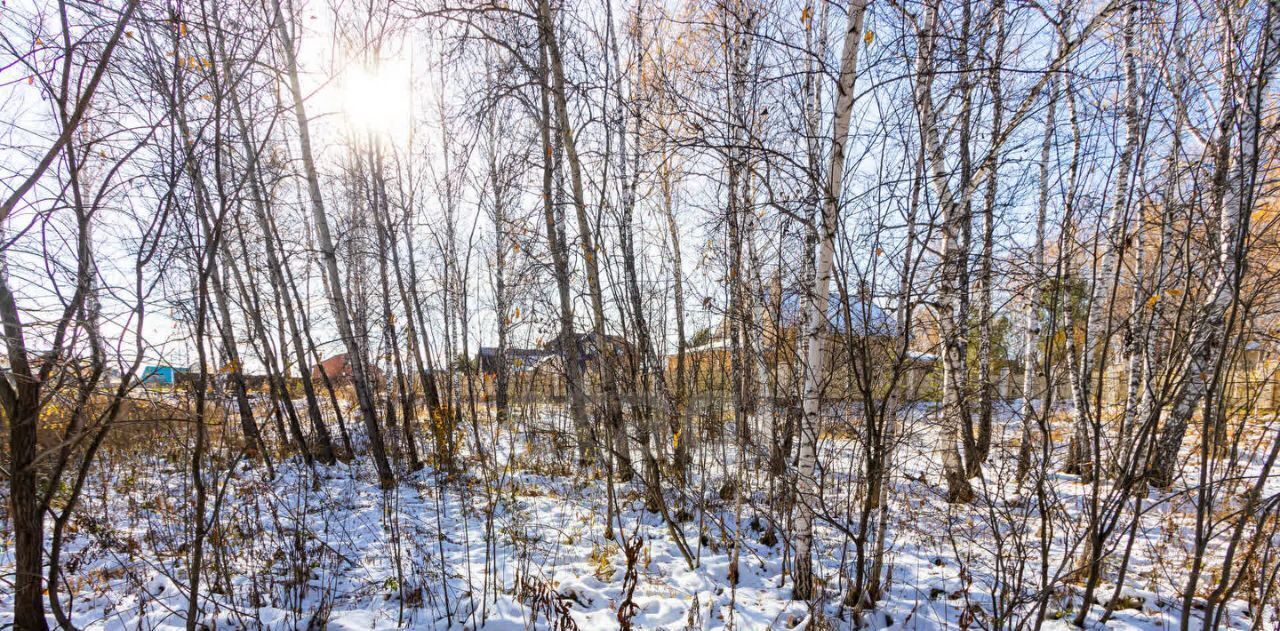 земля р-н Тюменский с Перевалово ул Сиреневая фото 6