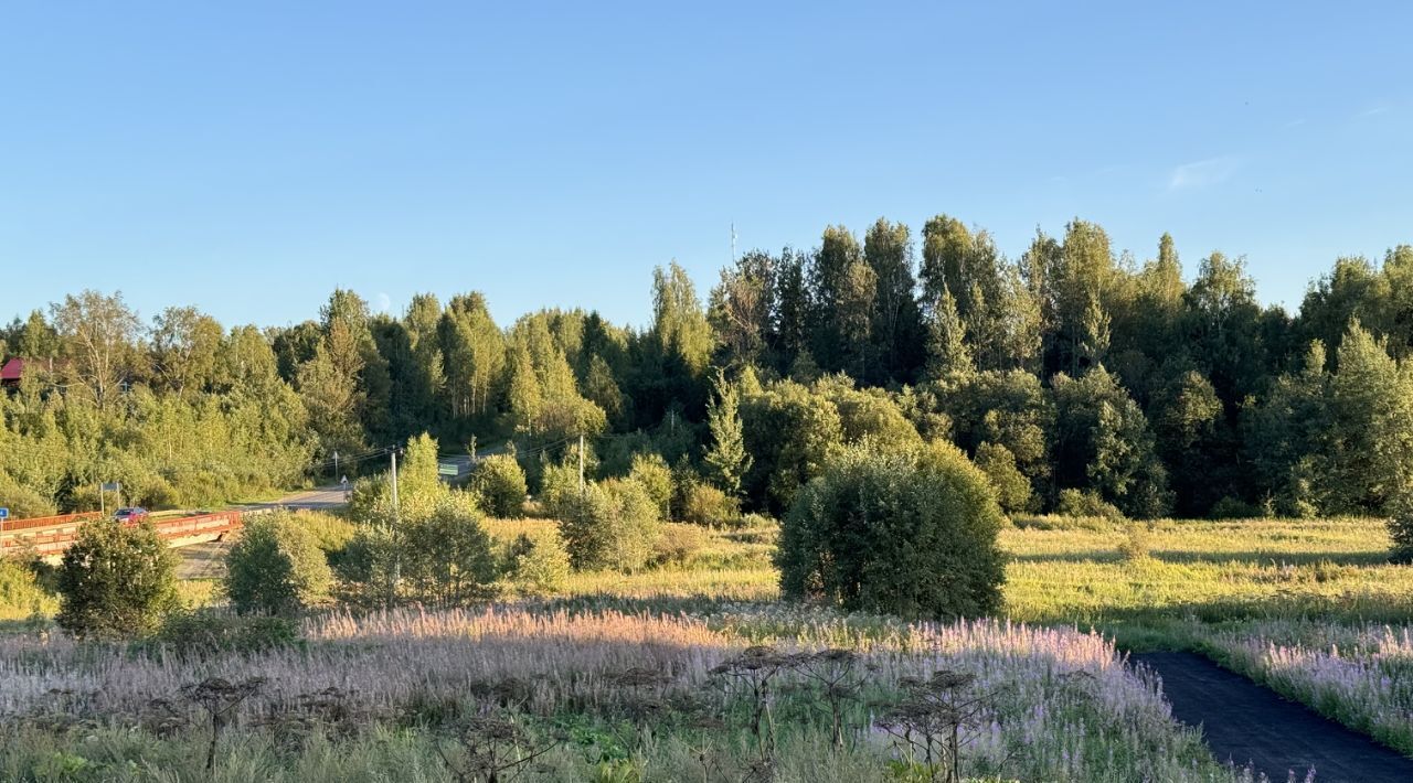 земля городской округ Дмитровский Форест Клаб кп, 19 фото 4