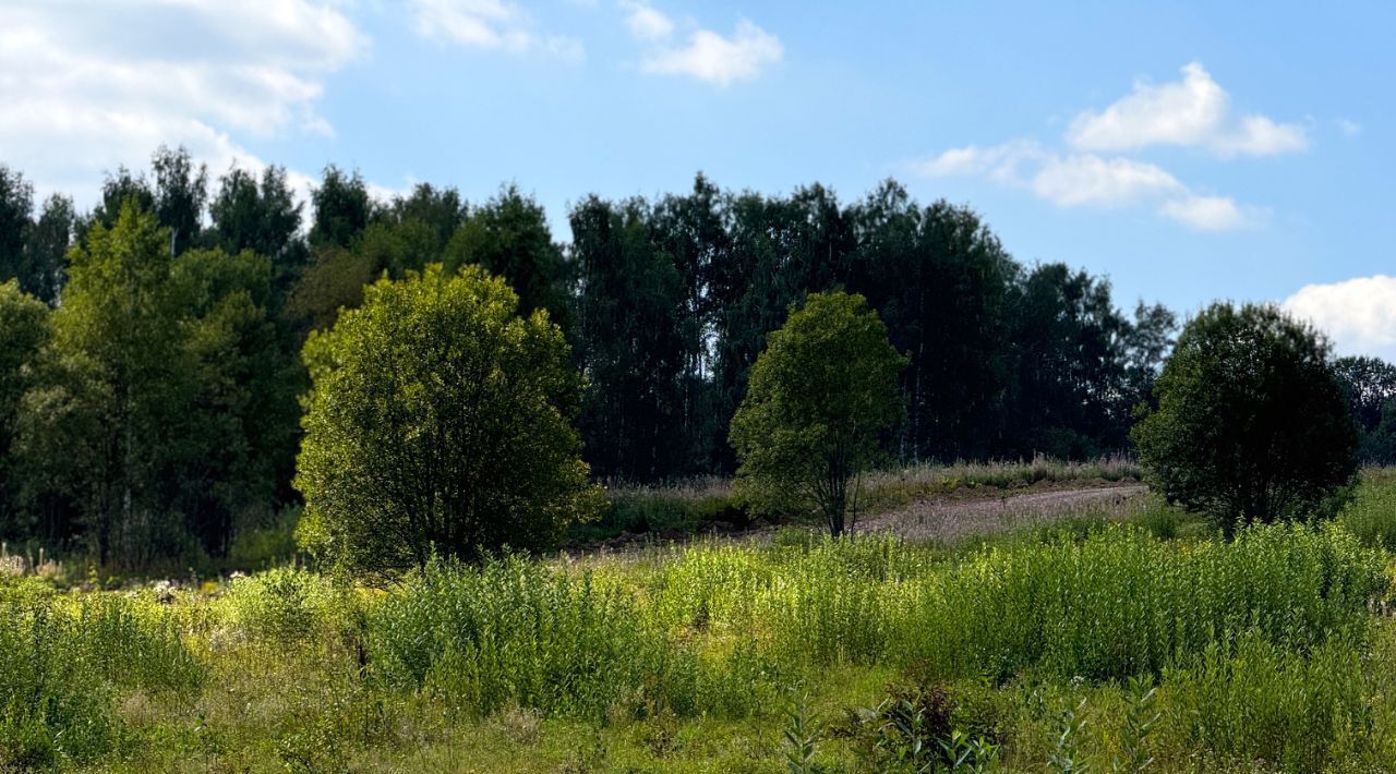 земля 85, Дмитровский городской округ, Медведки кп фото 21