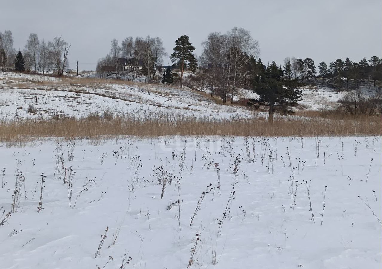 земля р-н Емельяновский д Крутая Кедровый, городское поселение Емельяново фото 8