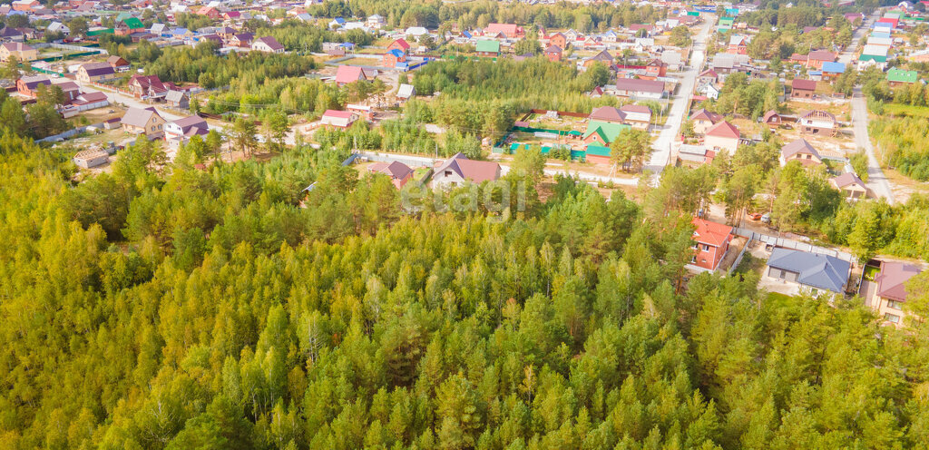 земля р-н Тюменский п Андреевский фото 2