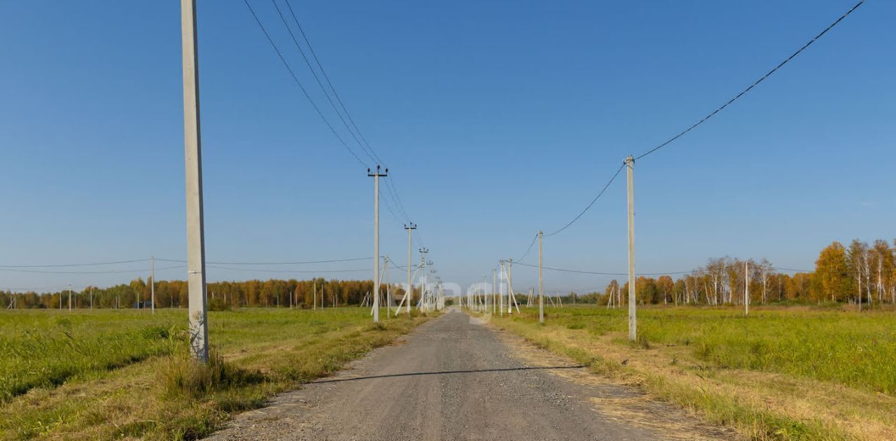 земля р-н Тюменский Дачи Хюгге ДНТ, ул. Пихтовая фото 8