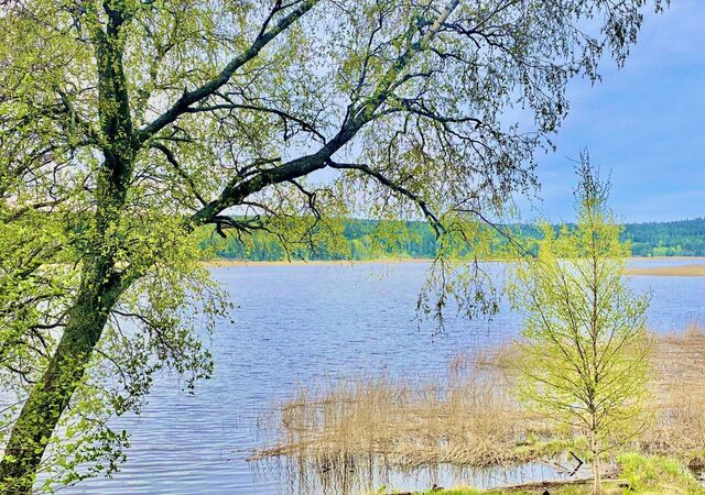 ул Холмистая Сортавальский р-н, Сортавальское городское поселение фото