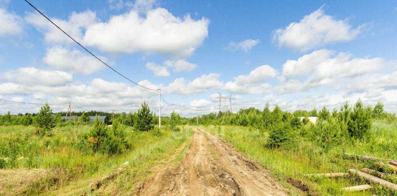 земля р-н Тюменский с Каменка Подушкино ДНТ фото 3