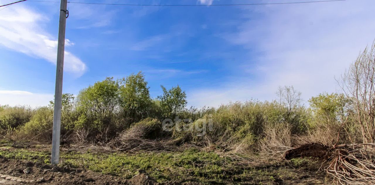 земля г Тюмень р-н Центральный снт Большое Царево-1 ТСН фото 8