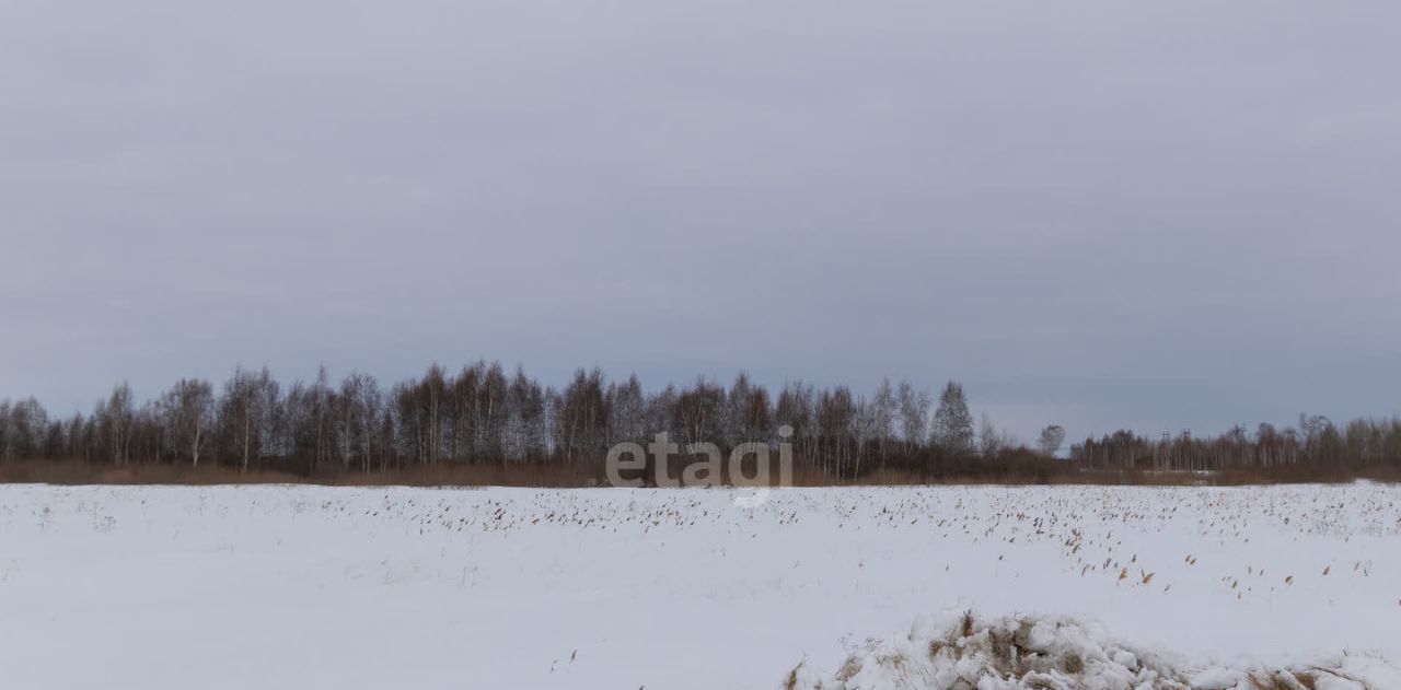 земля г Тюмень р-н Ленинский снт Яровское фото 6