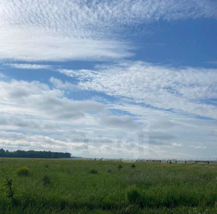 земля г Тюмень р-н Ленинский снт Плодовое фото 18