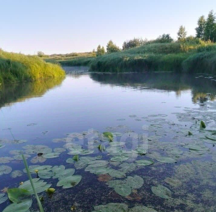 дом р-н Тюменский с Салаирка пер Механизаторов фото 37