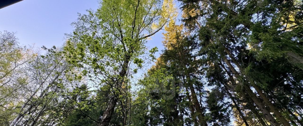 дом городской округ Мытищи п Трудовая ул Центральная 21 пос. Трудовая Южная, Хлебниково фото 38