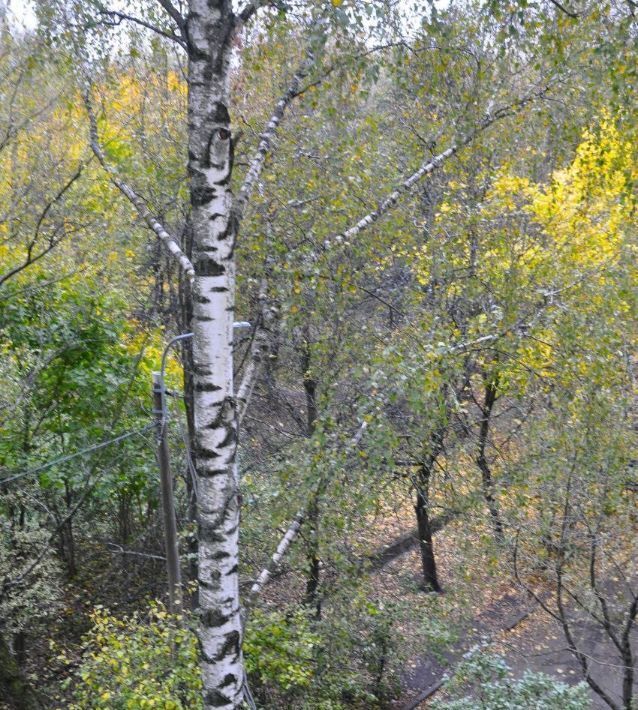 квартира городской округ Солнечногорск рп Андреевка Зеленоград — Крюково, 6а фото 36