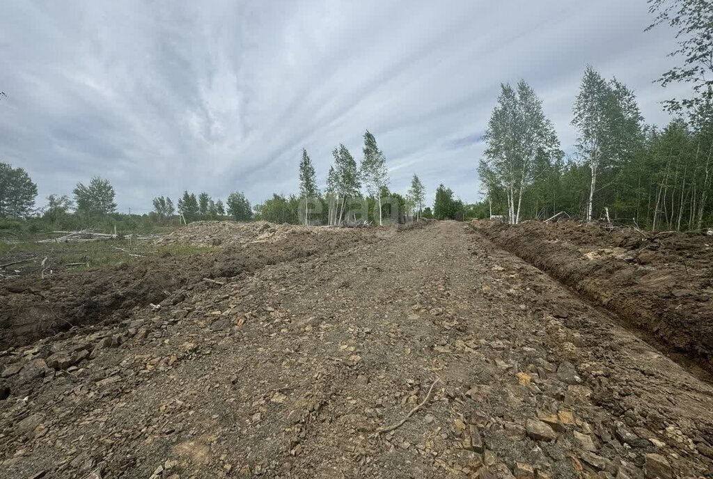 земля р-н Хабаровский с Некрасовка снт Дальневосточное фото 3