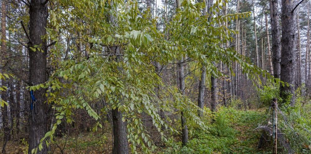 дом р-н Новокузнецкий с Бунгур снт Металлург-10 ул 1 61 фото 27