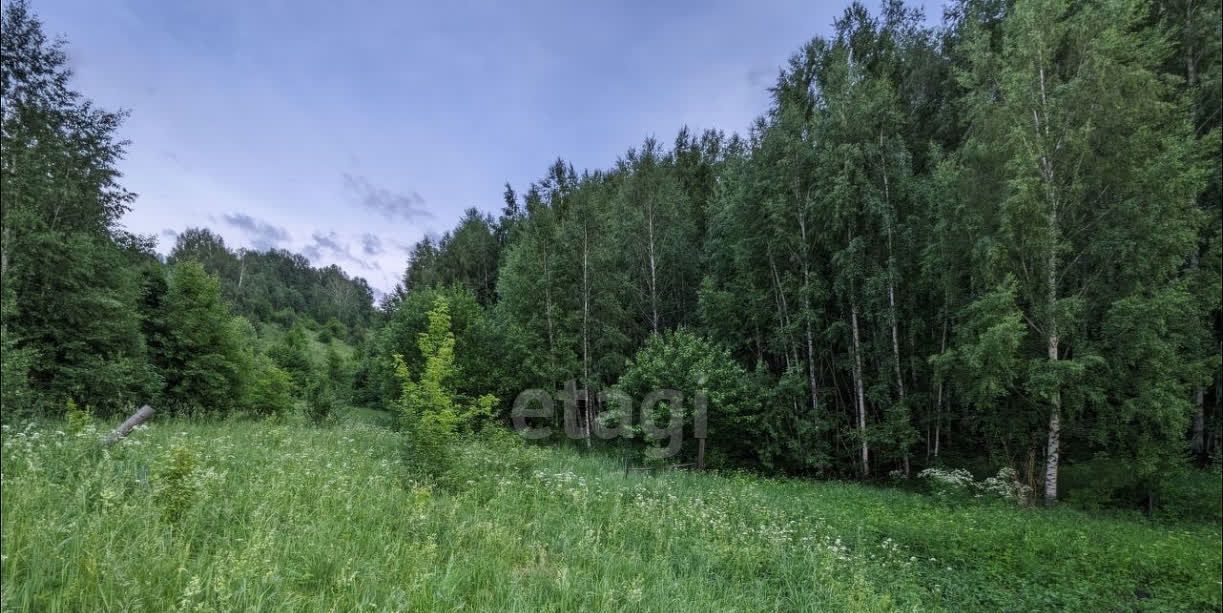 земля г Горно-Алтайск ул Солнечная фото 2