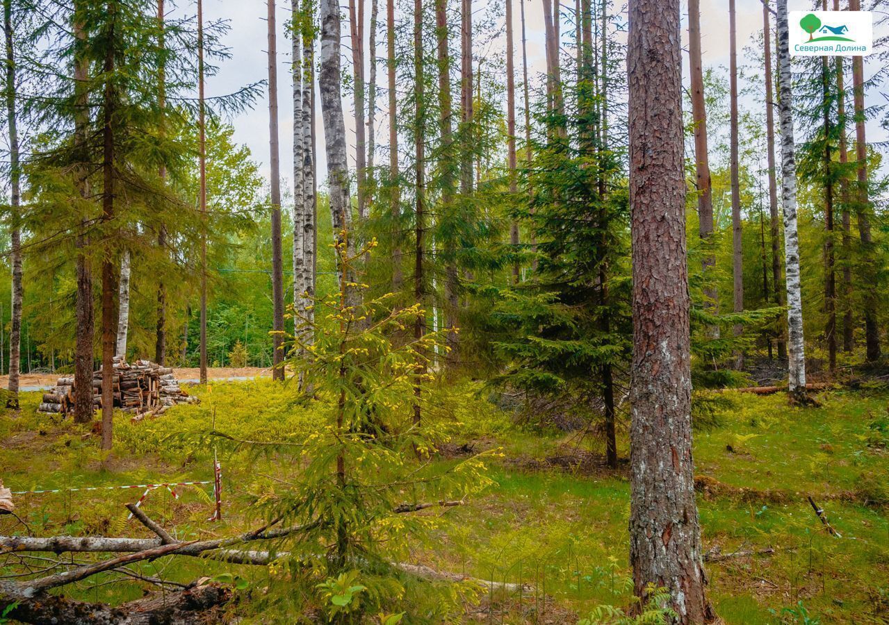 земля р-н Всеволожский 22 км, Всеволожский р-н, Токсовское городское поселение, коттеджный пос. Экофорест, Лесколово, Ленинградское шоссе фото 8