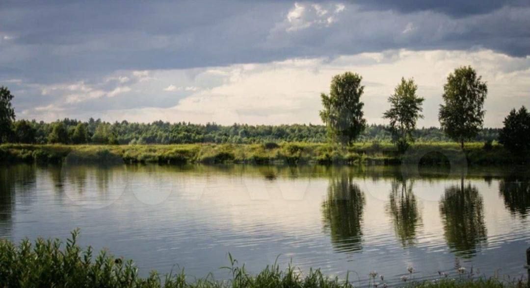 дом р-н Кстовский д Ройка Нижний Новгород фото 4