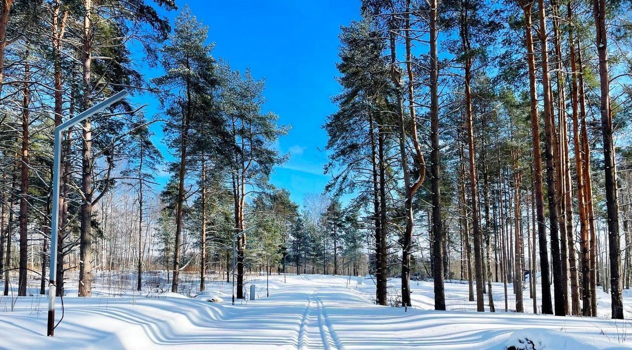 земля р-н Всеволожский Юкковское с/пос, Хилл Парк кп фото 47