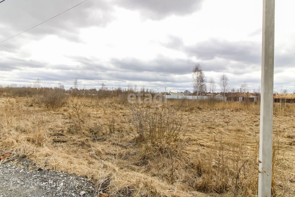 земля г Тюмень снт Царево Тюмень городской округ, Радужная Царево с/о фото 1