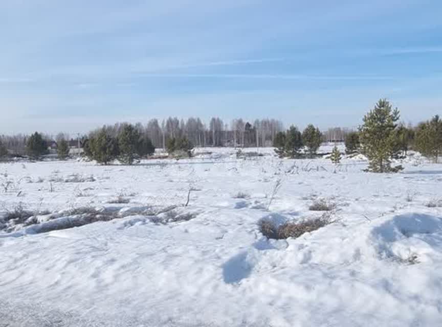 земля г Тюмень Тюмень городской округ, СНТ Берёзка Центральный округ фото 3