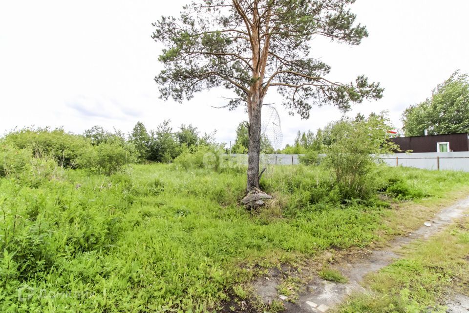 земля г Тюмень Тюмень городской округ, СТ Меркурий фото 10