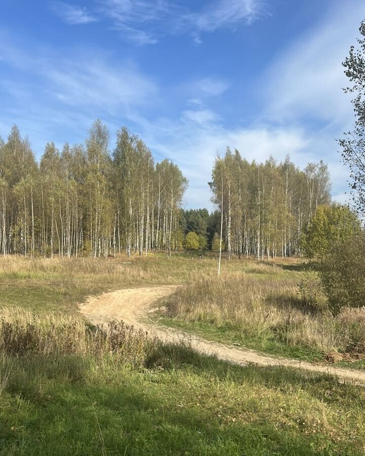 земля городской округ Сергиево-Посадский г Краснозаводск 9794 км, Ярославское шоссе фото 5