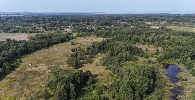 Ладушкин, Багратионовский муниципальный округ фото