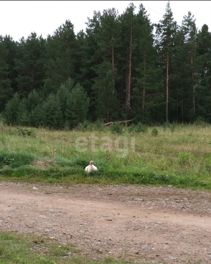 земля р-н Пригородный с Большие Галашки Левиха фото 3