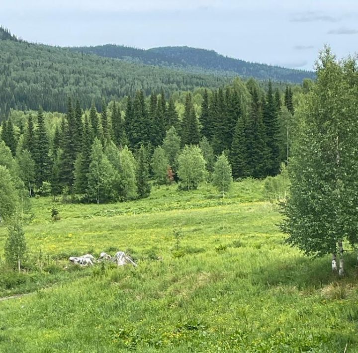 офис р-н Таштагольский Шерегешское городское поселение фото 2