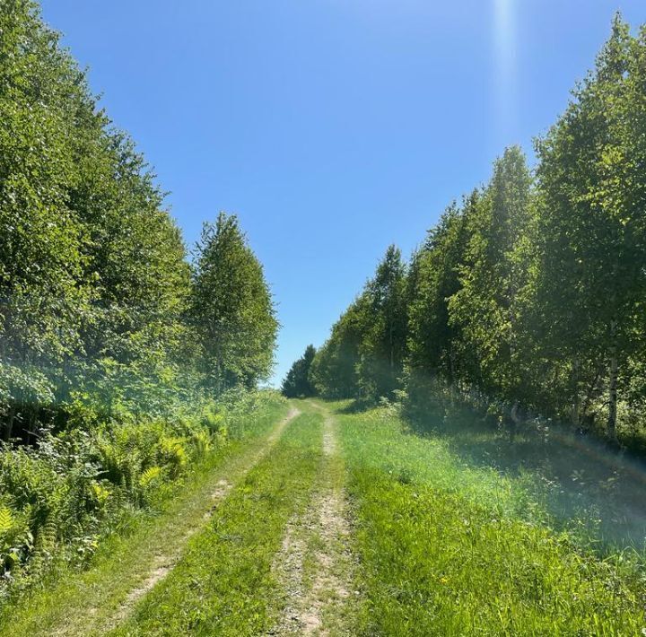 офис р-н Таштагольский Шерегешское городское поселение фото 4