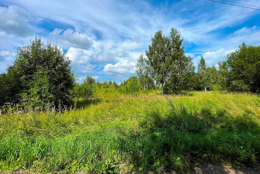 земля городской округ Богородский д Загорново фото 3