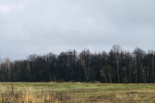 Республика Татарстан Татарстан, Казань городской округ, Новая Вишнёвка фото