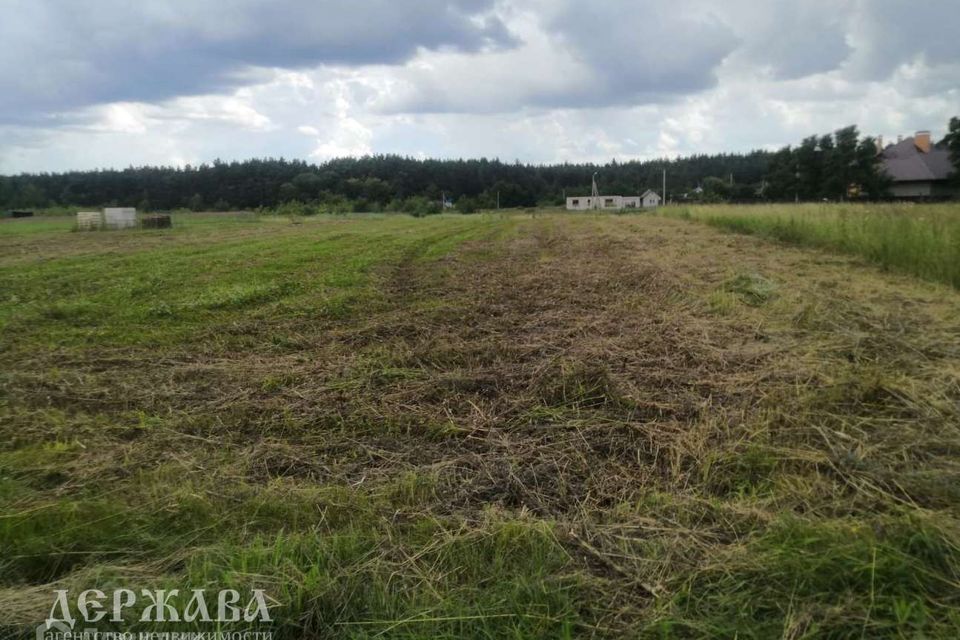 земля р-н Старооскольский Новокладовое фото 1