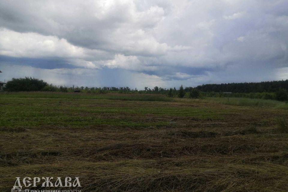 земля р-н Старооскольский Новокладовое фото 4