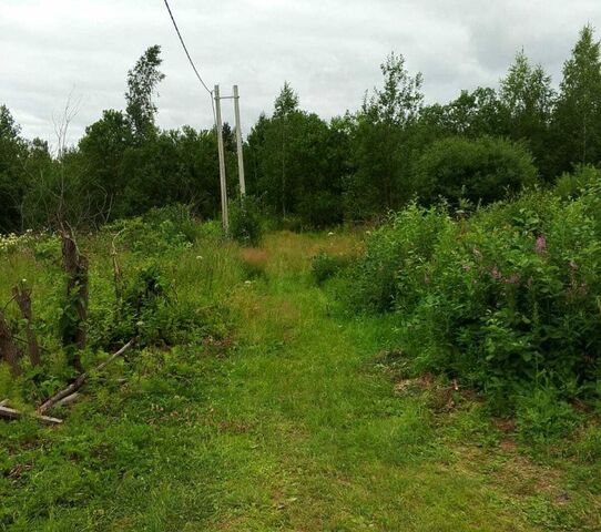 земля Кировградский городской округ, СНТ Марина фото