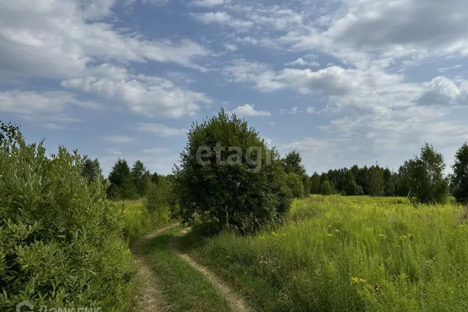 земля р-н Городецкий деревня Чуркино фото 4