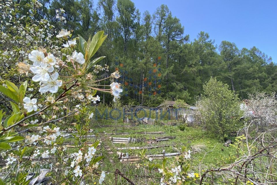 земля г Чебоксары городской округ Чебоксары, СТ Колос фото 1