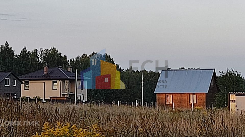 земля Тула городской округ, Ново-Струково, Овражная фото 4