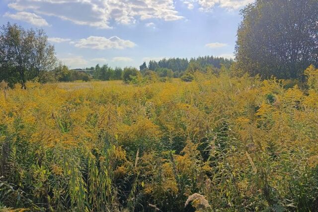 Тула городской округ, Харино фото