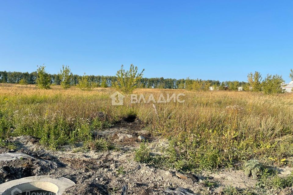 земля р-н Бессоновский с Бессоновка ул Славы фото 2