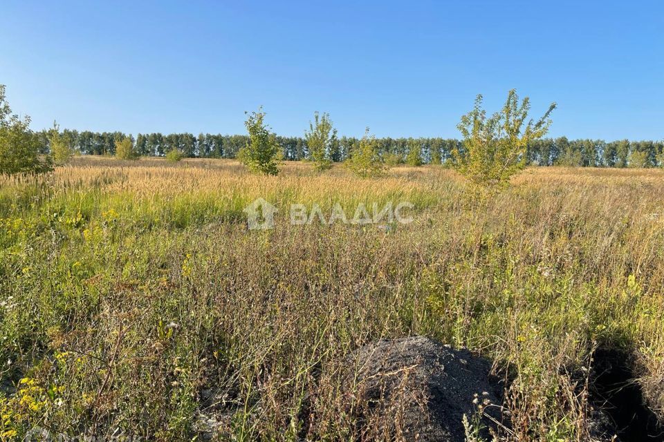 земля р-н Бессоновский с Бессоновка ул Славы фото 4